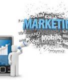 Xây Dựng Chiến Dịch SMS Marketing Tổng Thể: Kinh Nghiệm và Cách Triển Khai