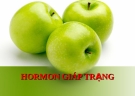 HORMON GIÁP TRẠNG