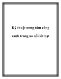Kỹ thuật ương tôm càng xanh trong ao nổi lót bạt hiệu quả nhất