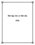 Bài tập cho cơ đùi săn chắc