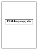 CRM: Giải pháp quản lý khách hàng hiệu quả ngay tại đây