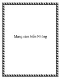 Mạng cảm biến Nhúng: Tìm hiểu chi tiết