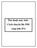 Thủ thuật máy tính : Cách chuyển file PDF sang ảnh