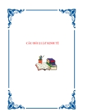 CÂU HỎI LUẬT KINH TẾ.
