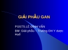 Bài giảng: Giải phẫu gan