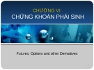 Bài giảng Chứng khoán phái sinh: Tổng quan và kiến thức cần biết