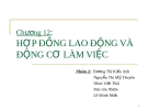 Chương 12: Hợp đồng lao động và động cơ làm việc