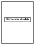 SEO Joomla: Metadata