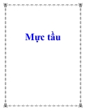 Mực tầu 