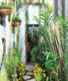 Ngôi nhà truyền thống tiết kiệm: Kinh nghiệm và những điều cần biết