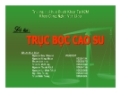 Luận văn về Trục Bọc Cao Su chi tiết nhất