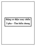 Động cơ điện xoay chiều 3 pha: Tìm hiểu chung [A-Z]