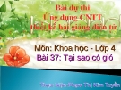 Tại Sao Có Gió: Giải Thích Khoa Học Chi Tiết Nhất