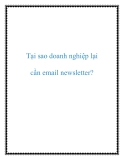 Email Newsletter: Tại Sao Doanh Nghiệp Cần Sử Dụng?
