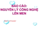 Nguyên lý công nghệ lên men: Báo cáo [Mới nhất]