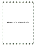BẢN ROCK ĐƯỢC PHỐI BỞI NHIỀU SẮC MÀU