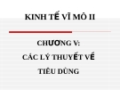 Các lý thuyết về tiêu dùng: Tổng hợp đầy đủ nhất