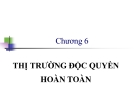 Thị Trường Độc Quyền Hoàn Toàn: Bài Giảng Chi Tiết