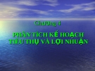 PHÂN TÍCH KẾ HOẠCH TIÊU THỤ VÀ LỢI NHUẬN