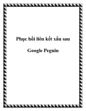 Phục hồi liên kết xấu sau Google Peguin