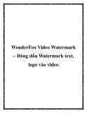 WonderFox Video Watermark – Đóng dấu Watermark text, logo vào video