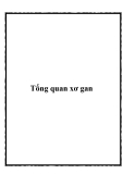 Tổng quan xơ gan
