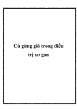 Củ gừng gió trong điều trị xơ gan