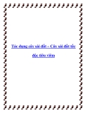Tác dụng cây sài đất – Cây sài đất tẩy độc tiêu viêm