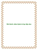 Bài thuốc chữa bệnh từ hạt đậu đen