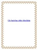 Cây bạch hạc chữa viêm khớp