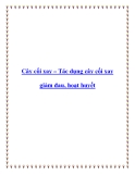 Cây cối xay – Tác dụng cây cối xay giảm đau, hoạt huyết