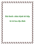 Bài thuốc chữa bệnh hô hấp từ tử hoa địa đinh