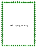 Lá lốt - kiện tỳ, chỉ thống