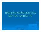 Báo cáo ngân lưu dự án đầu tư: Mẫu chuẩn, mới nhất