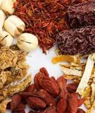 Bài thuốc cá ngựa ngâm rượu và hầm thuốc bắc