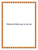 Những bài thuốc quý từ cây sim