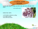 Thuyết trình Ý tưởng kinh doanh: Thành lập công ty TNHH chuyên cung cấp thủy hải sản tươi sống