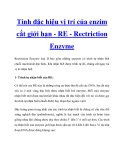 Enzim cắt giới hạn RE (Restriction Enzyme): Tính đặc hiệu vị trí