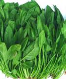 Những thực phẩm giúp chống loãng xương ở tuổi mãn kinh