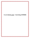 Các từ thường gặp : Cách dùng EITHER