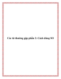 Các từ thường gặp phần 2: Cách dùng SO