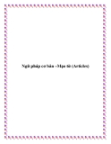Ngữ pháp cơ bản –Động từ (Verbs)