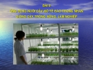 Ứng dụng nuôi cấy mô tế bào trong nhân giống cây trồng nông, lâm nghiệp: Bài 6