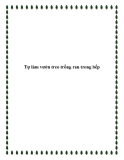 Tự làm vườn treo trồng rau trong bếp