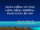 Nhân giống vô tính gừng bằng phương pháp nuôi cấy mô chuẩn nhất