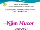 Đề tài: Nấm Mucor  rouxii