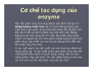 Cơ chế tác dụng của enzyme: Tổng quan và phân tích chi tiết