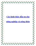 Các hình thức đầu tư hiệu quả cho nông nghiệp và nông thôn