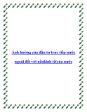 Ảnh hưởng của đầu tư trực tiếp nước ngoài đối với nền kinh tế