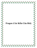 Fragen (Các Kiểu Câu Hỏi)